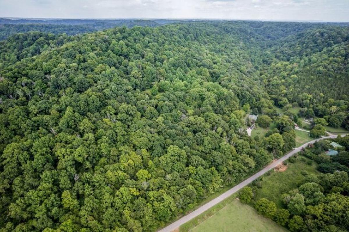 Picture of Residential Land For Sale in Buffalo Valley, Tennessee, United States