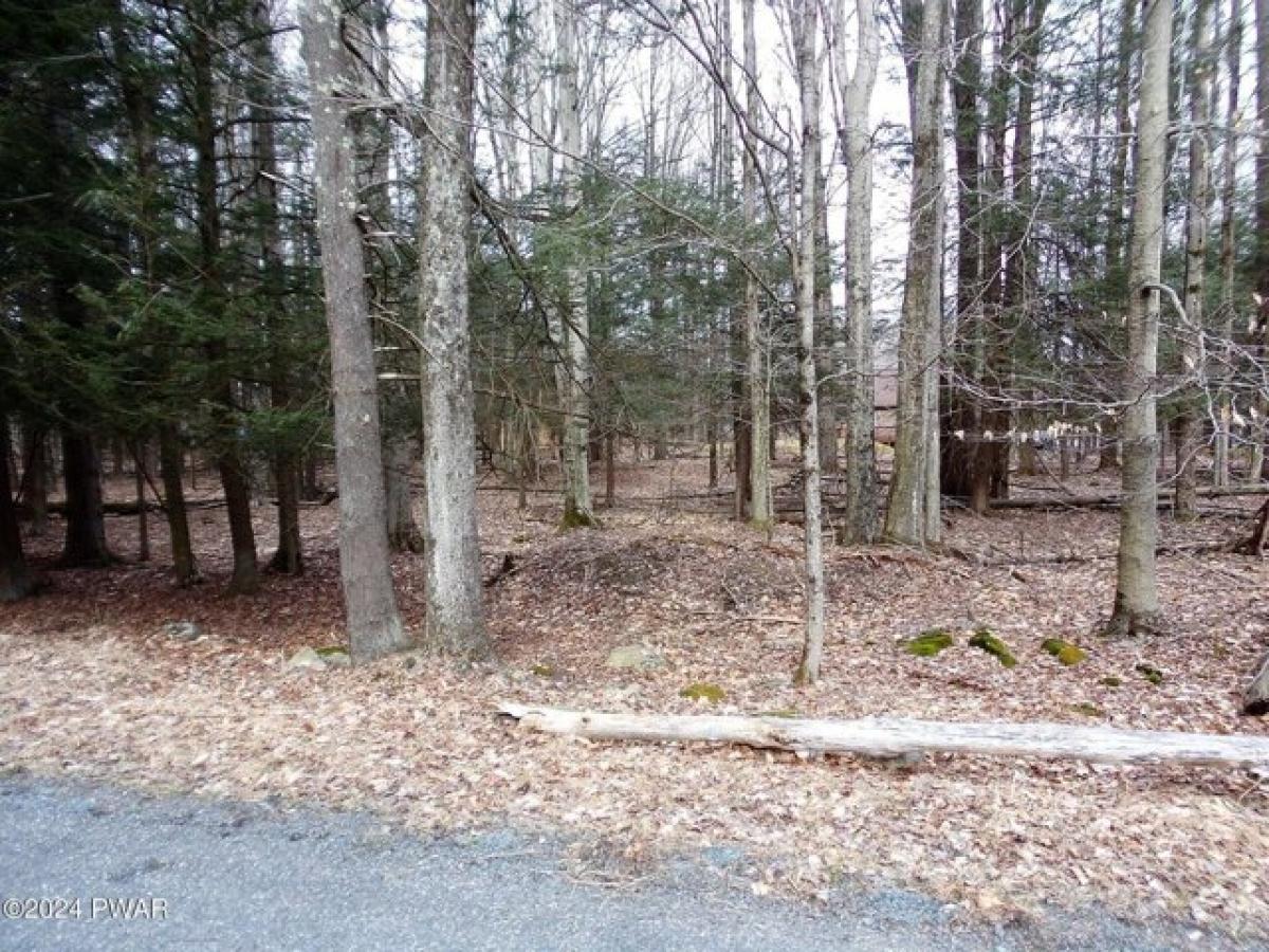 Picture of Residential Land For Sale in Lake Ariel, Pennsylvania, United States