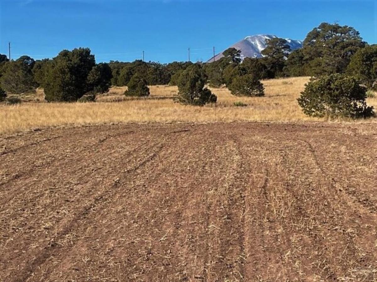 Picture of Residential Land For Sale in Walsenburg, Colorado, United States