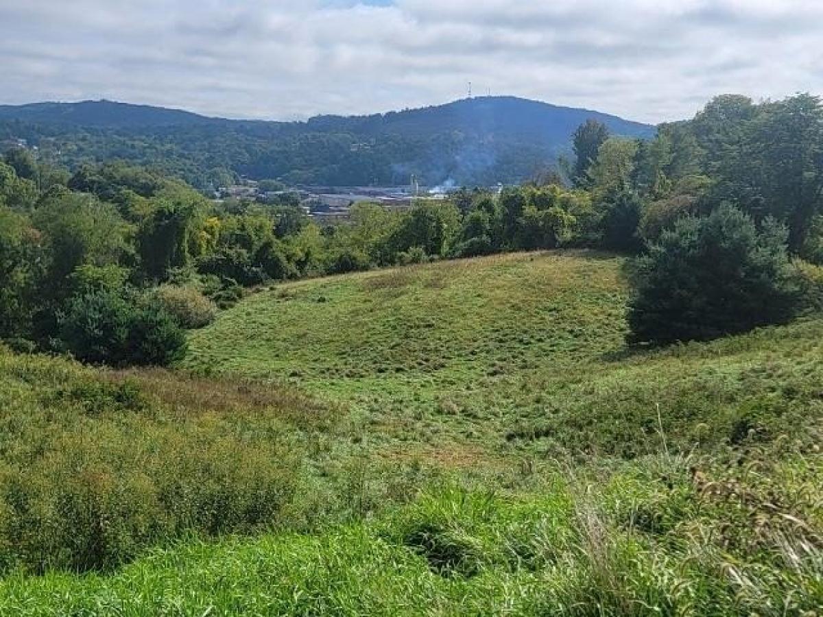 Picture of Residential Land For Sale in Galax, Virginia, United States