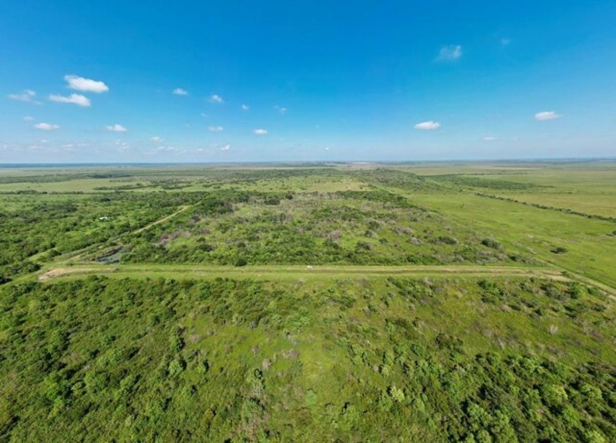 Picture of Residential Land For Sale in Winnie, Texas, United States