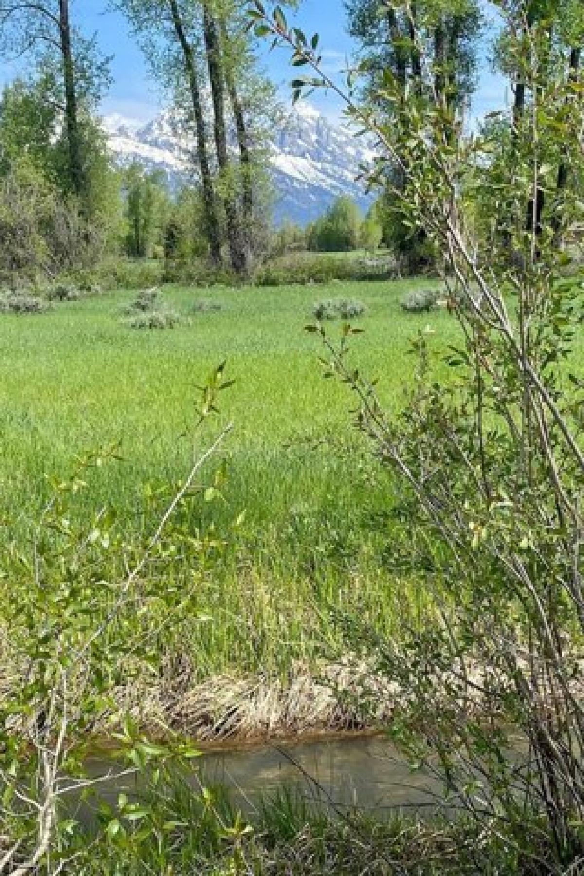 Picture of Residential Land For Sale in Jackson, Wyoming, United States