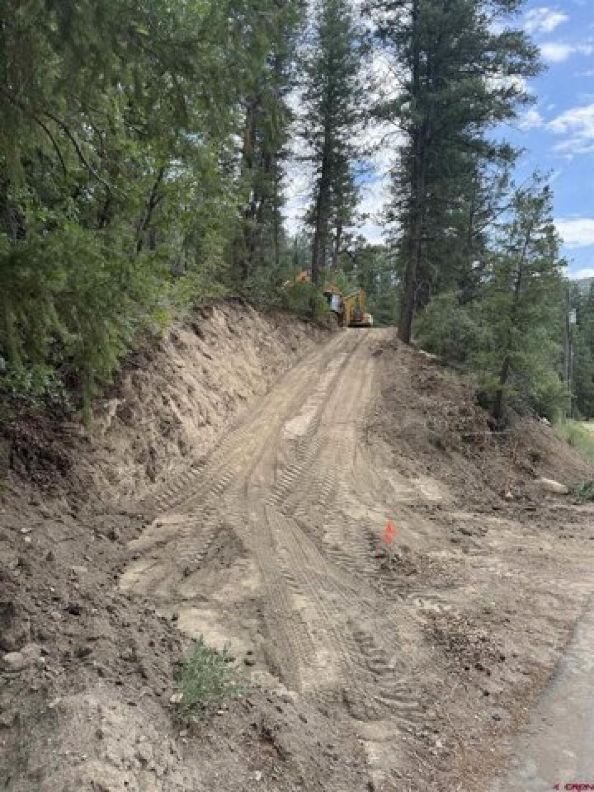 Picture of Residential Land For Sale in Durango, Colorado, United States