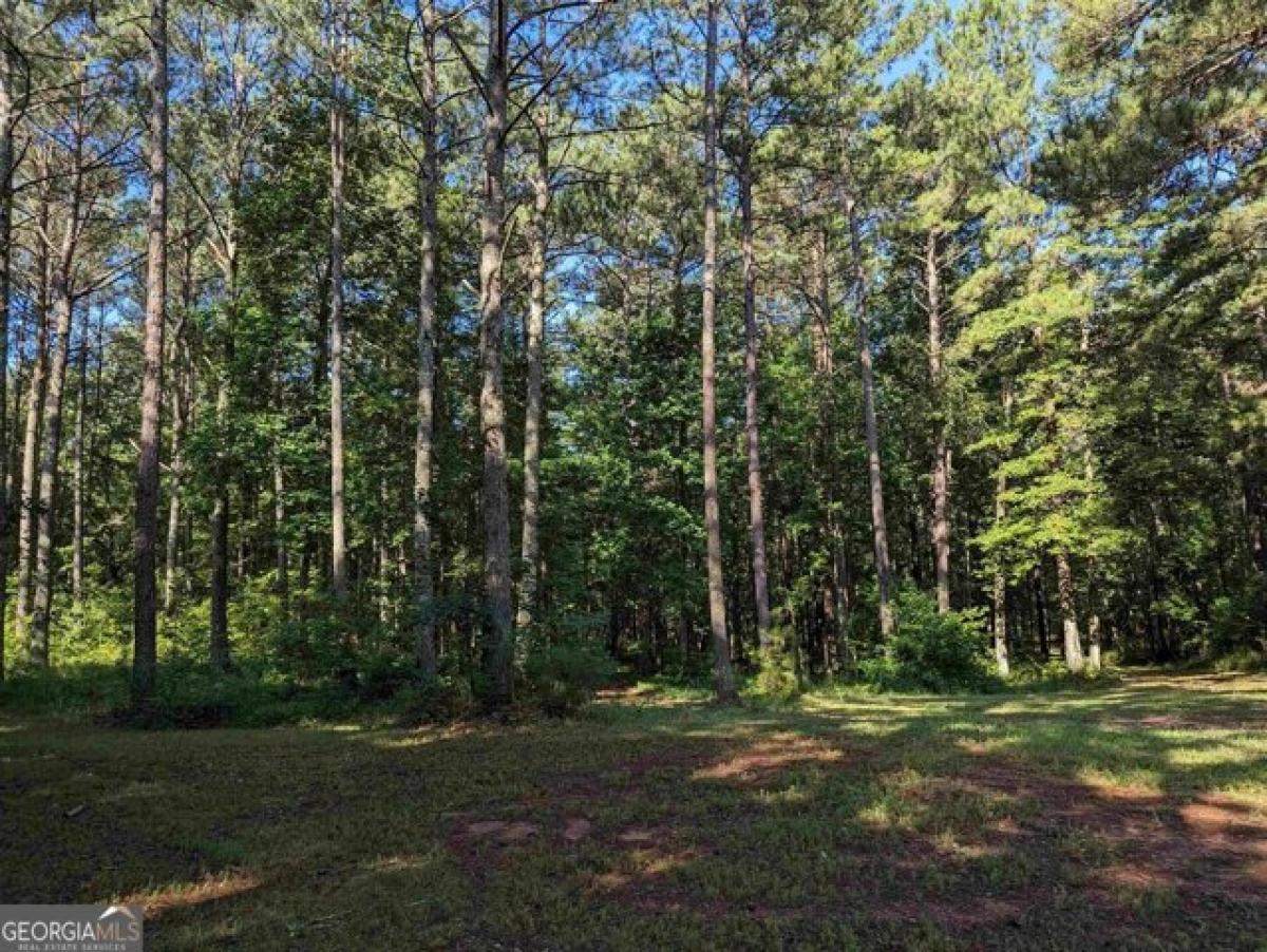 Picture of Residential Land For Sale in Newnan, Georgia, United States