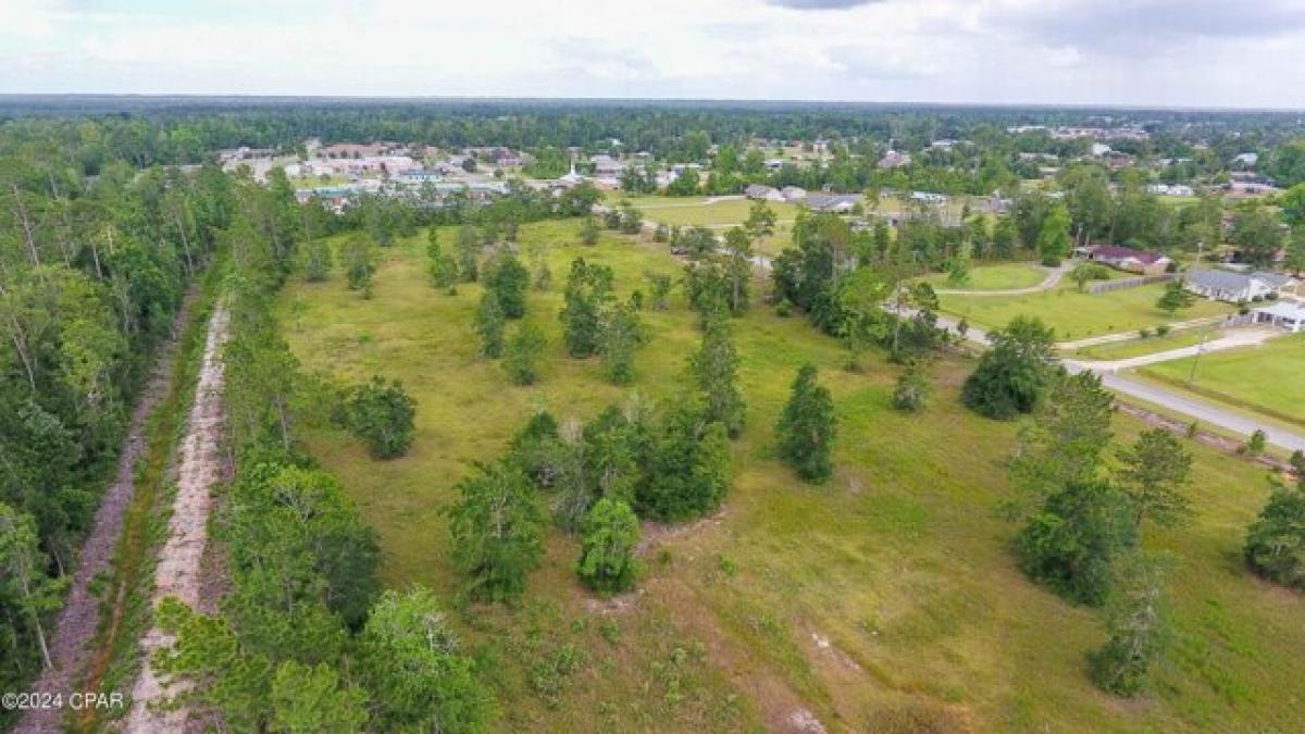 Picture of Residential Land For Sale in Blountstown, Florida, United States