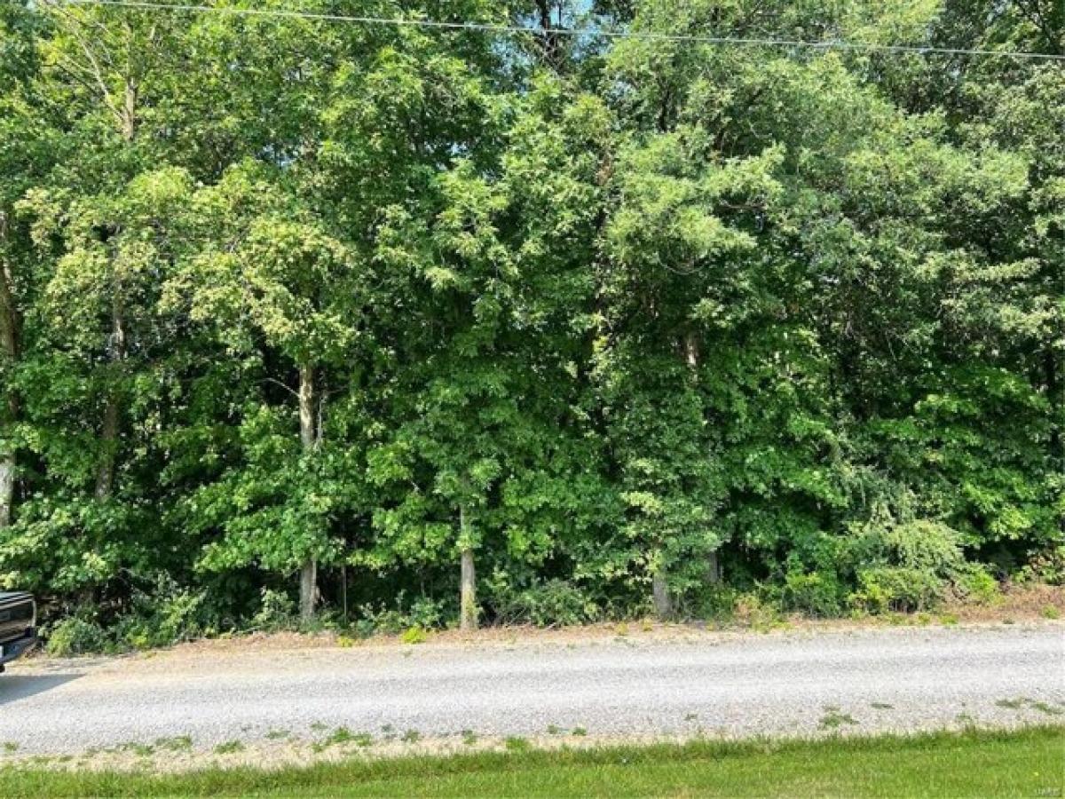 Picture of Residential Land For Sale in New London, Missouri, United States