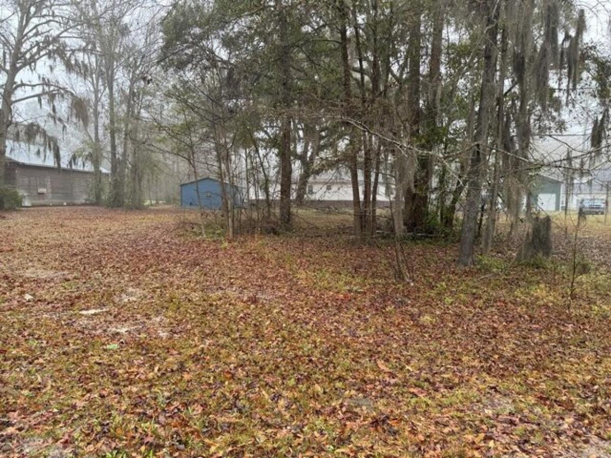 Picture of Residential Land For Sale in Midway, Georgia, United States