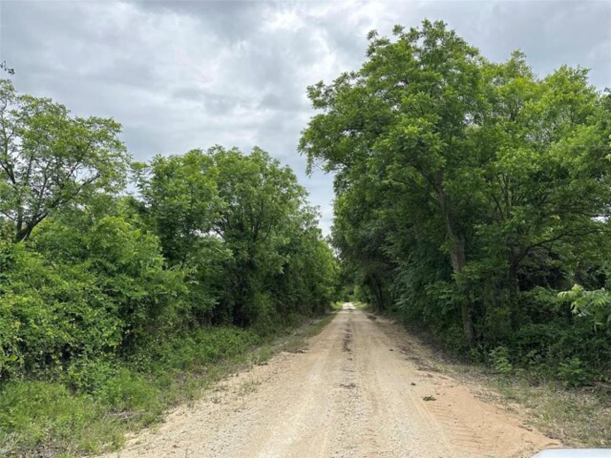 Picture of Residential Land For Sale in Rising Star, Texas, United States