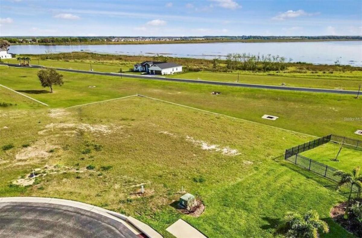 Picture of Residential Land For Sale in Lake Alfred, Florida, United States