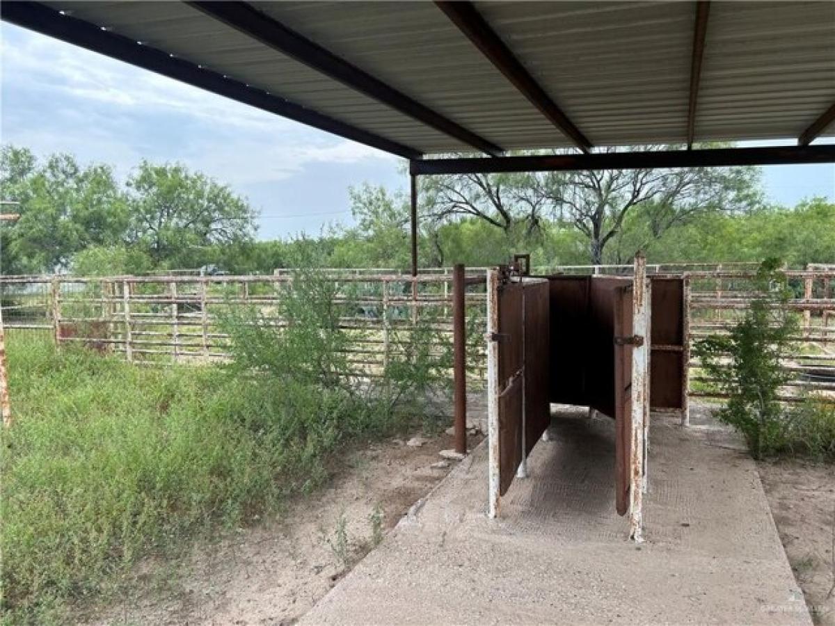 Picture of Residential Land For Sale in Falcon Heights, Texas, United States