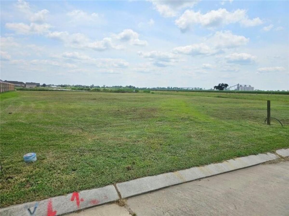 Picture of Residential Land For Sale in Paulina, Louisiana, United States