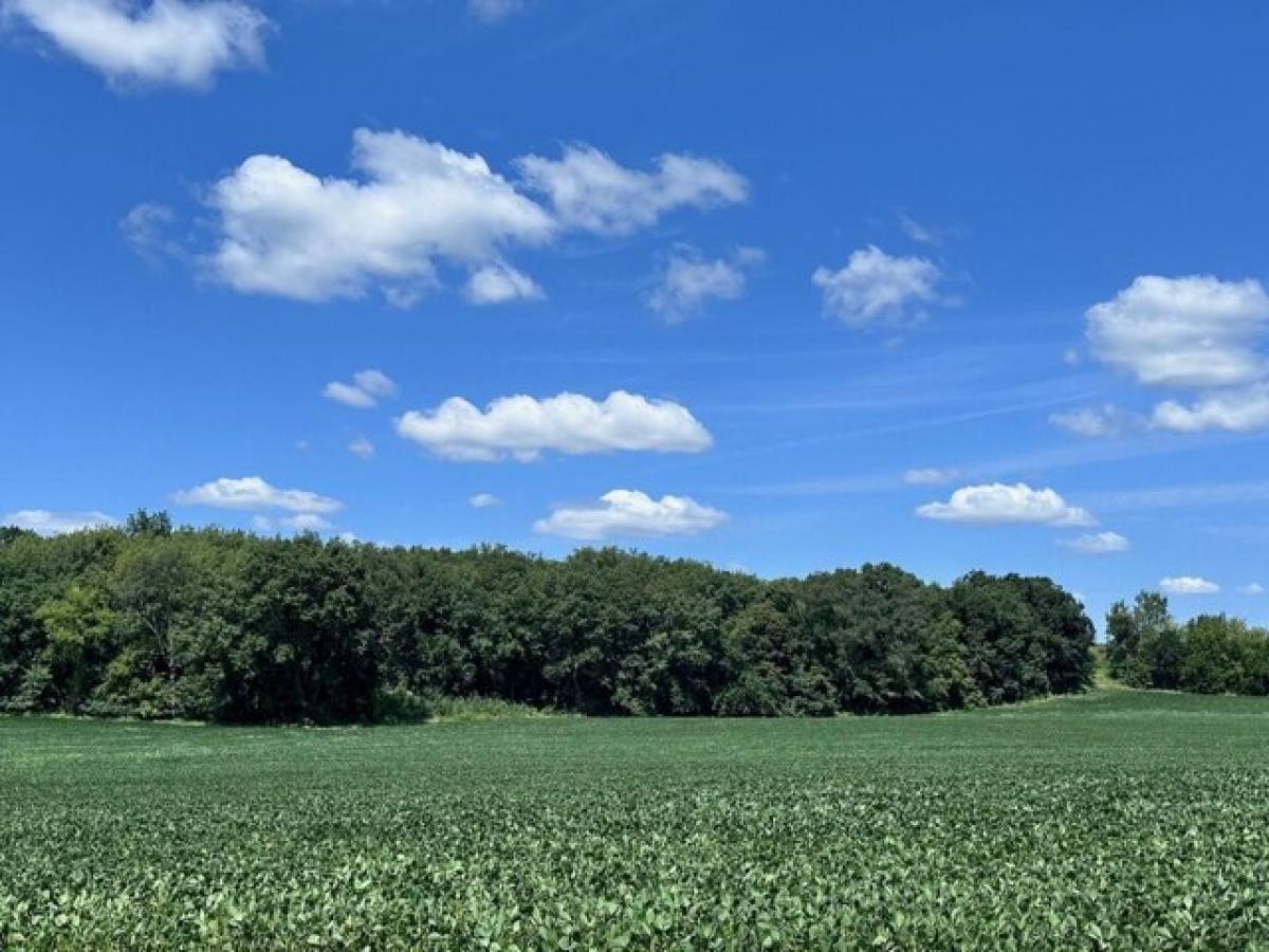 Picture of Residential Land For Sale in Sun Prairie, Wisconsin, United States