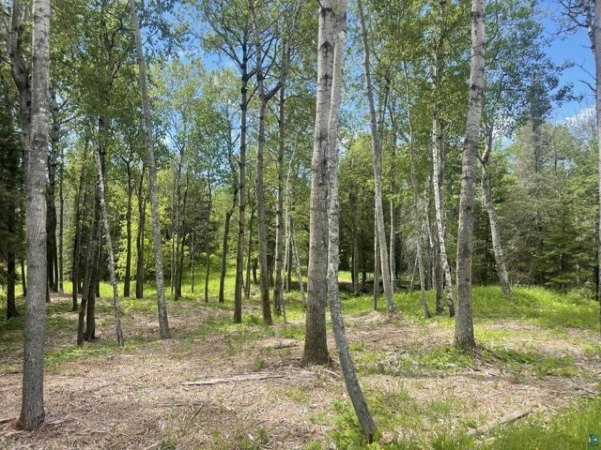 Picture of Residential Land For Sale in Two Harbors, Minnesota, United States