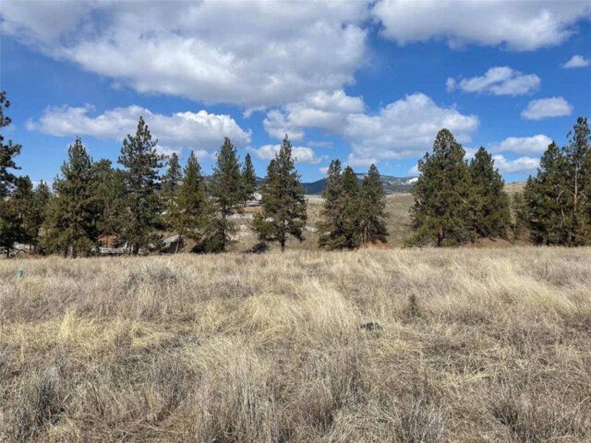 Picture of Residential Land For Sale in Florence, Montana, United States