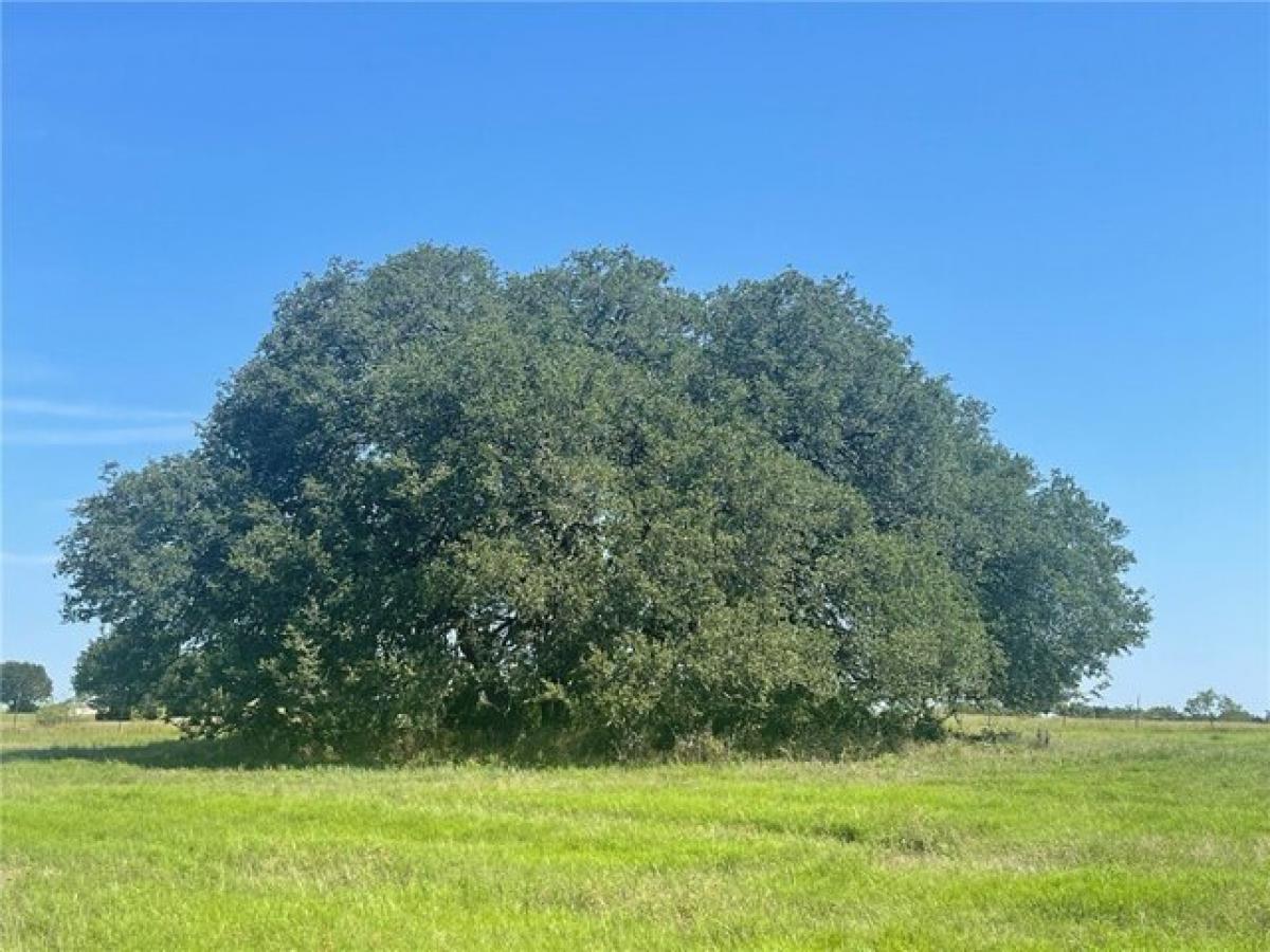 Picture of Residential Land For Sale in Valley Mills, Texas, United States