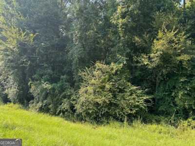 Residential Land For Sale in Hawkinsville, Georgia