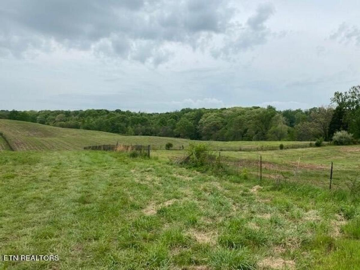 Picture of Residential Land For Sale in Knoxville, Tennessee, United States