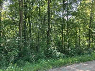 Residential Land For Sale in Beaverton, Michigan