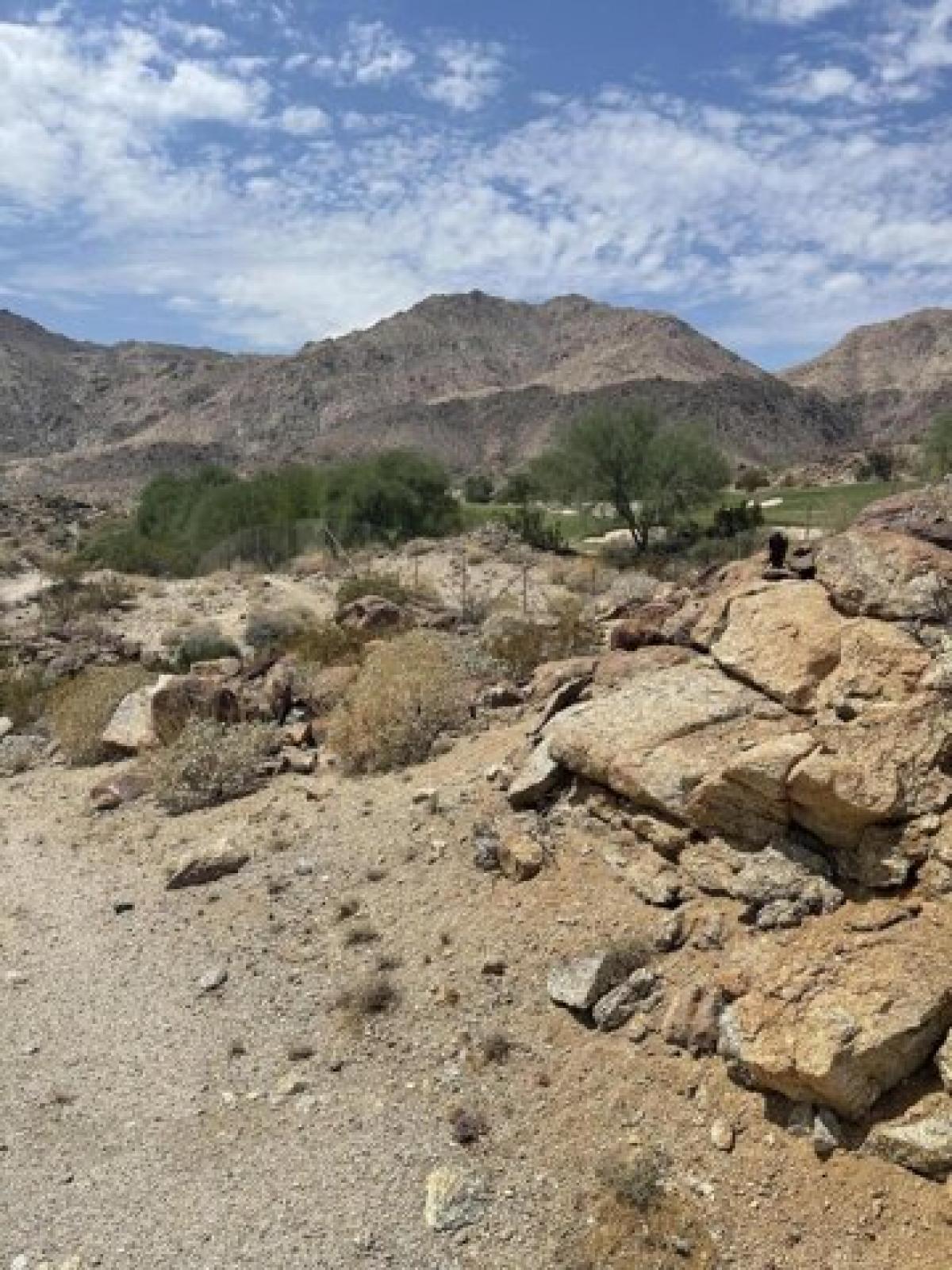 Picture of Residential Land For Sale in Palm Desert, California, United States