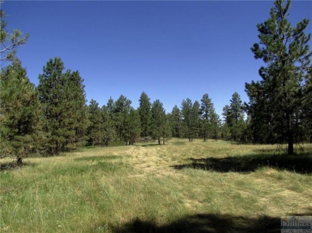 Picture of Residential Land For Sale in Roundup, Montana, United States