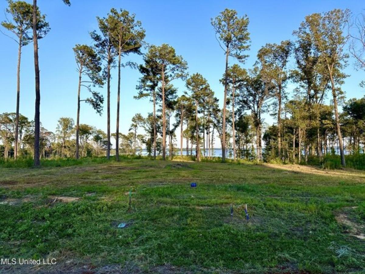 Picture of Residential Land For Sale in Canton, Mississippi, United States