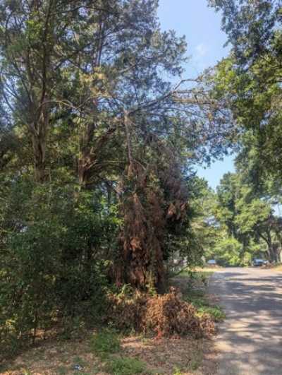 Residential Land For Sale in Crestview, Florida