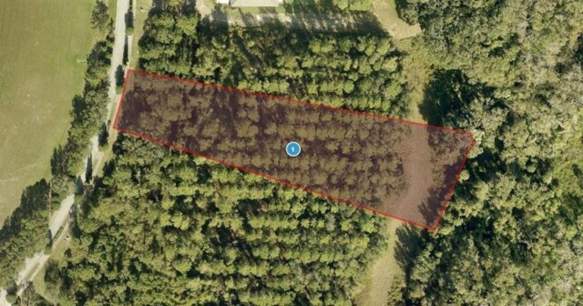 Picture of Residential Land For Sale in Montverde, Florida, United States