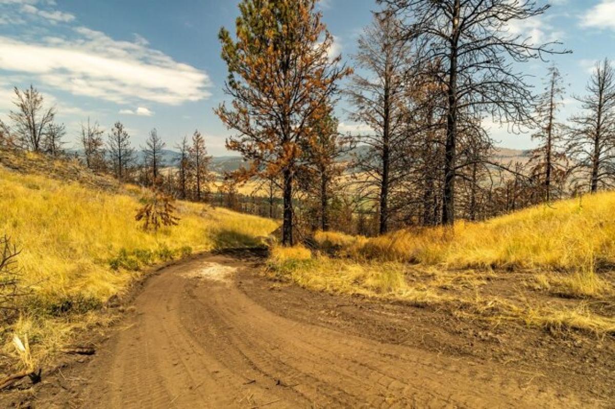 Picture of Residential Land For Sale in Dayton, Montana, United States