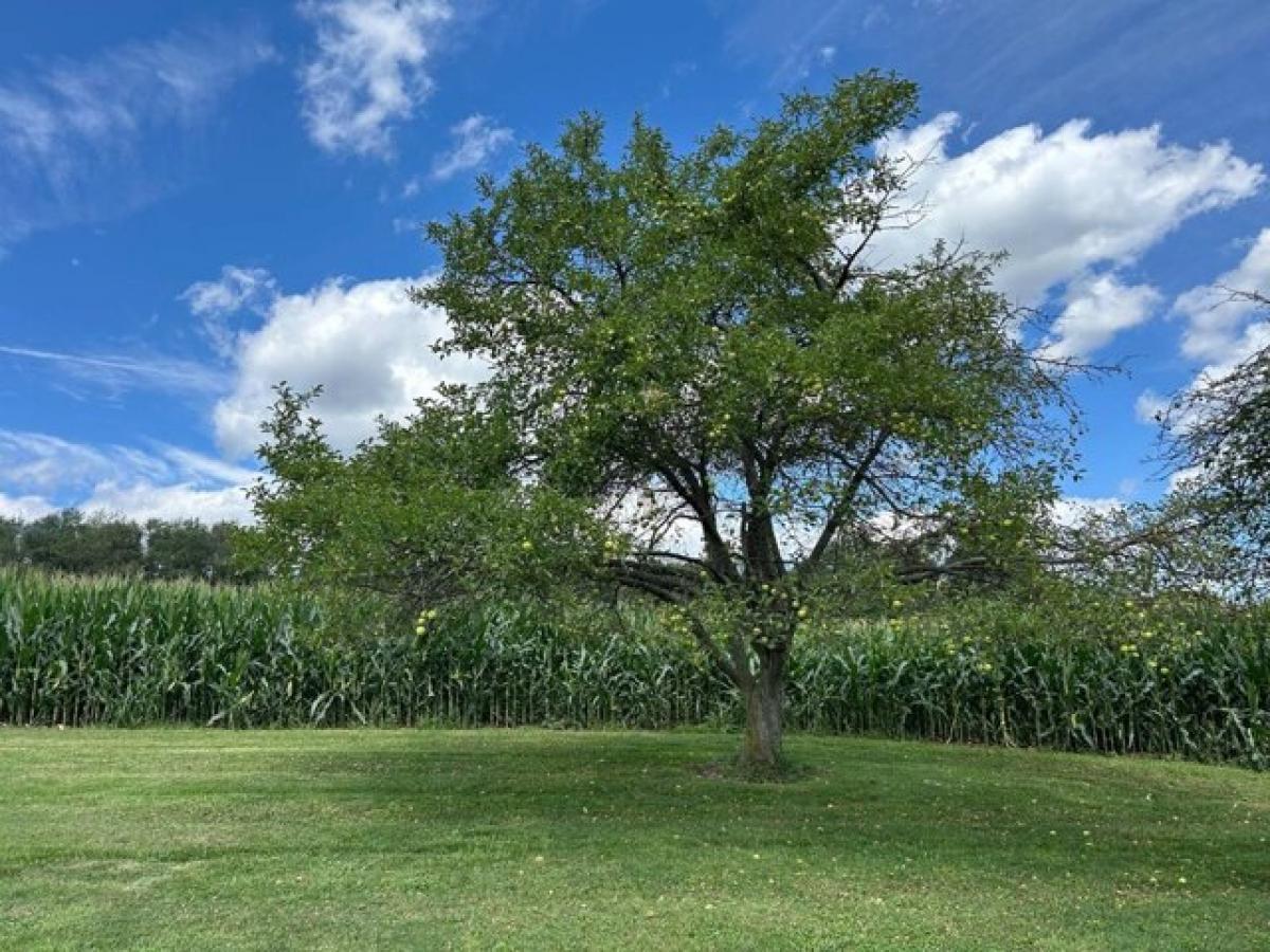 Picture of Home For Sale in Shelocta, Pennsylvania, United States