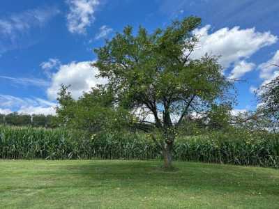 Home For Sale in Shelocta, Pennsylvania