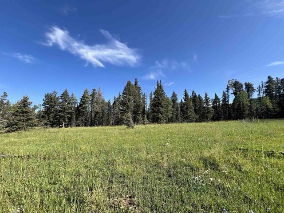 Picture of Residential Land For Sale in Angel Fire, New Mexico, United States