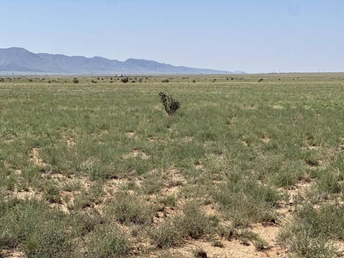 Picture of Residential Land For Sale in Belen, New Mexico, United States