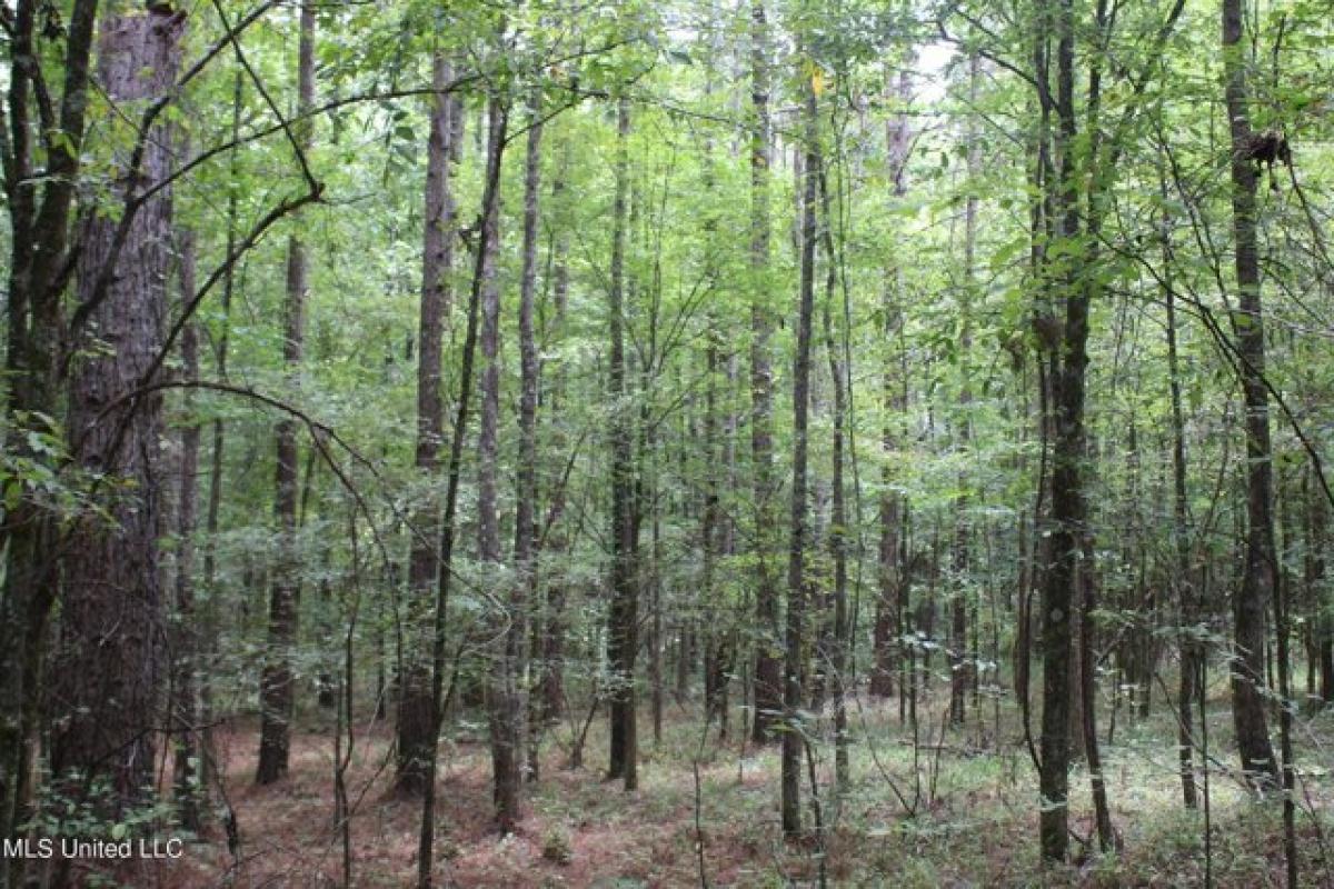 Picture of Residential Land For Sale in Enid, Mississippi, United States