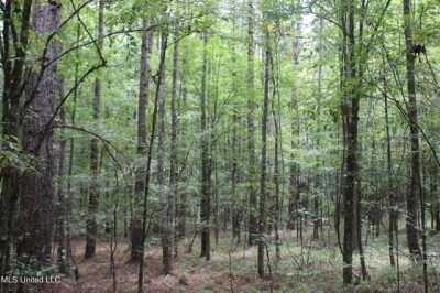 Residential Land For Sale in Enid, Mississippi