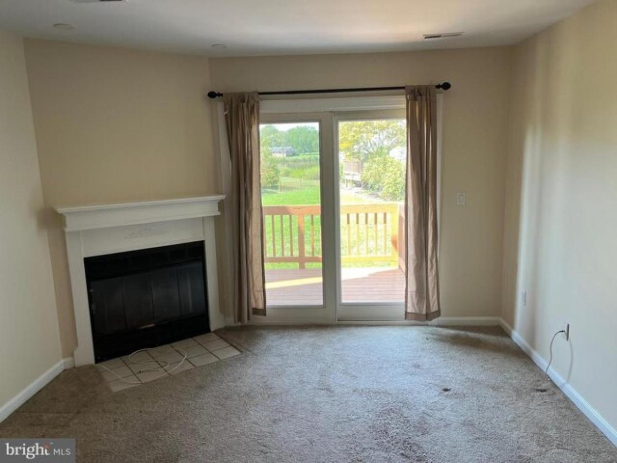 Picture of Apartment For Rent in Stevensville, Maryland, United States