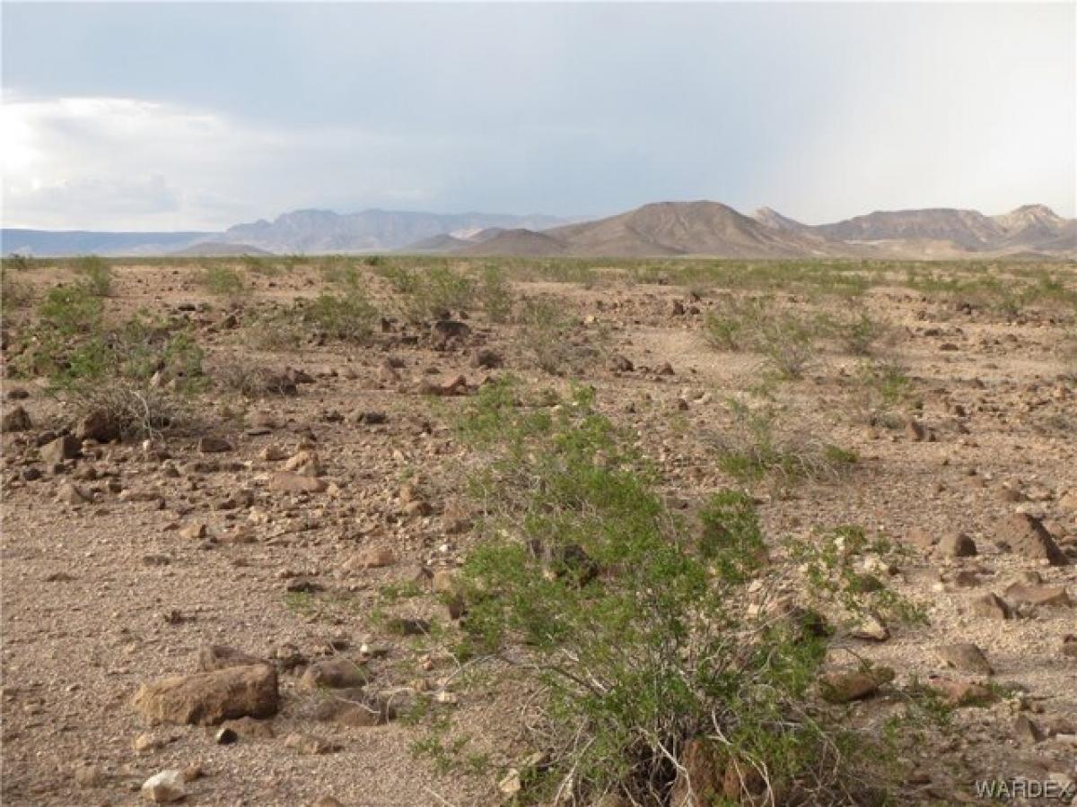 Picture of Residential Land For Sale in Topock, Arizona, United States