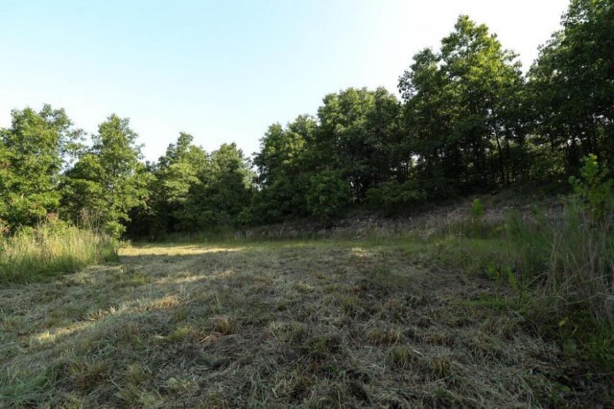 Picture of Residential Land For Sale in Tunas, Missouri, United States