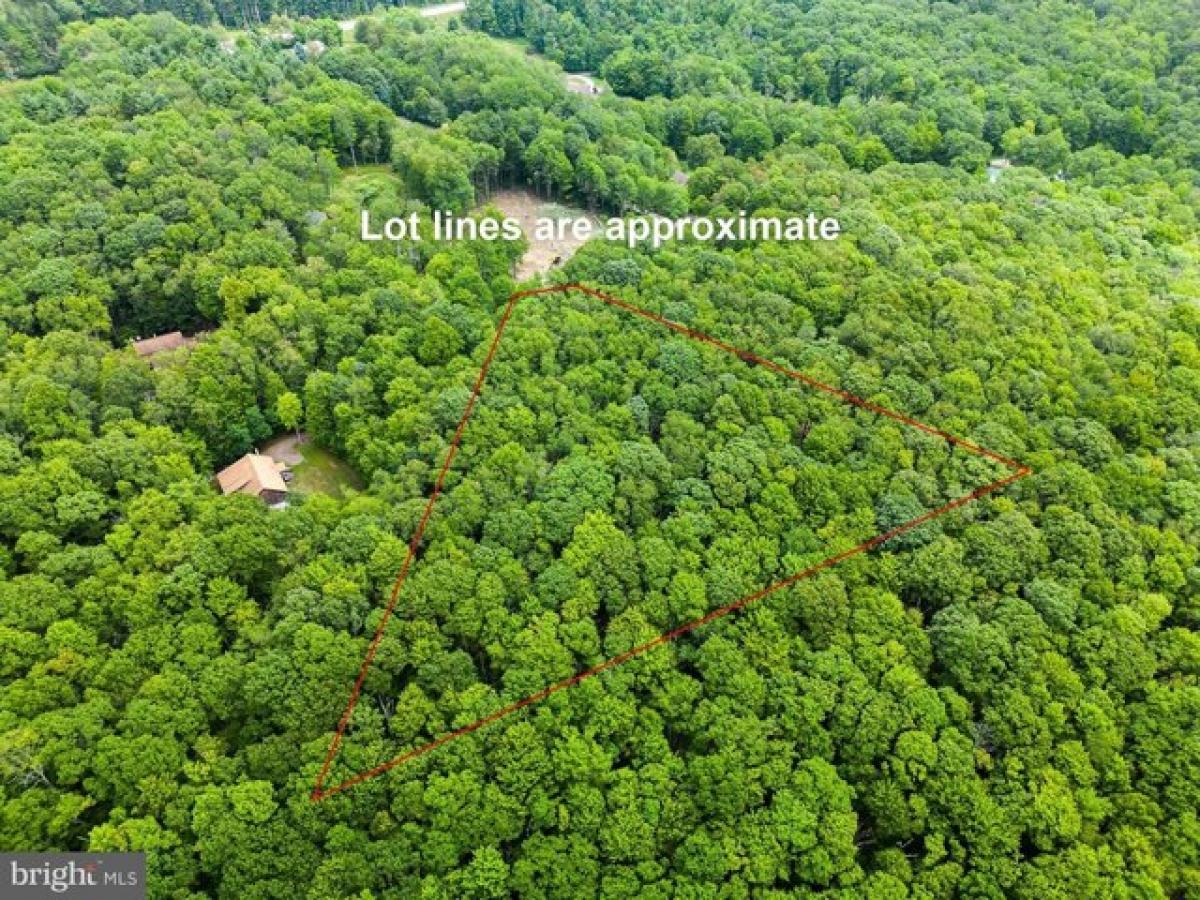 Picture of Residential Land For Sale in Grantsville, Maryland, United States