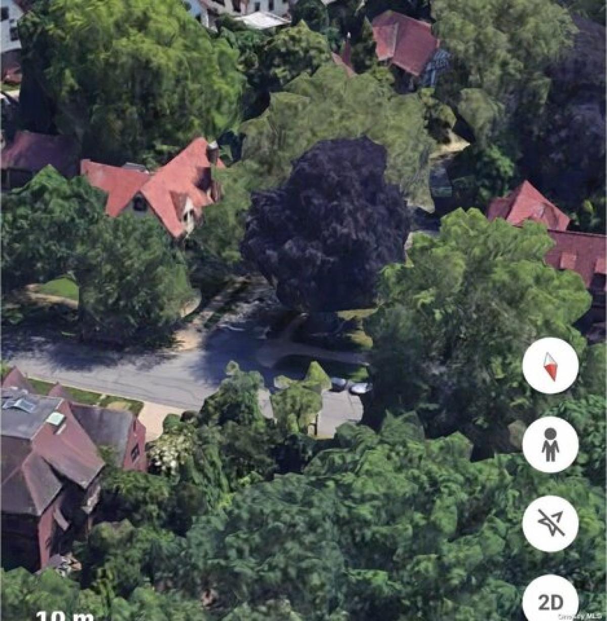 Picture of Residential Land For Sale in Forest Hills, New York, United States