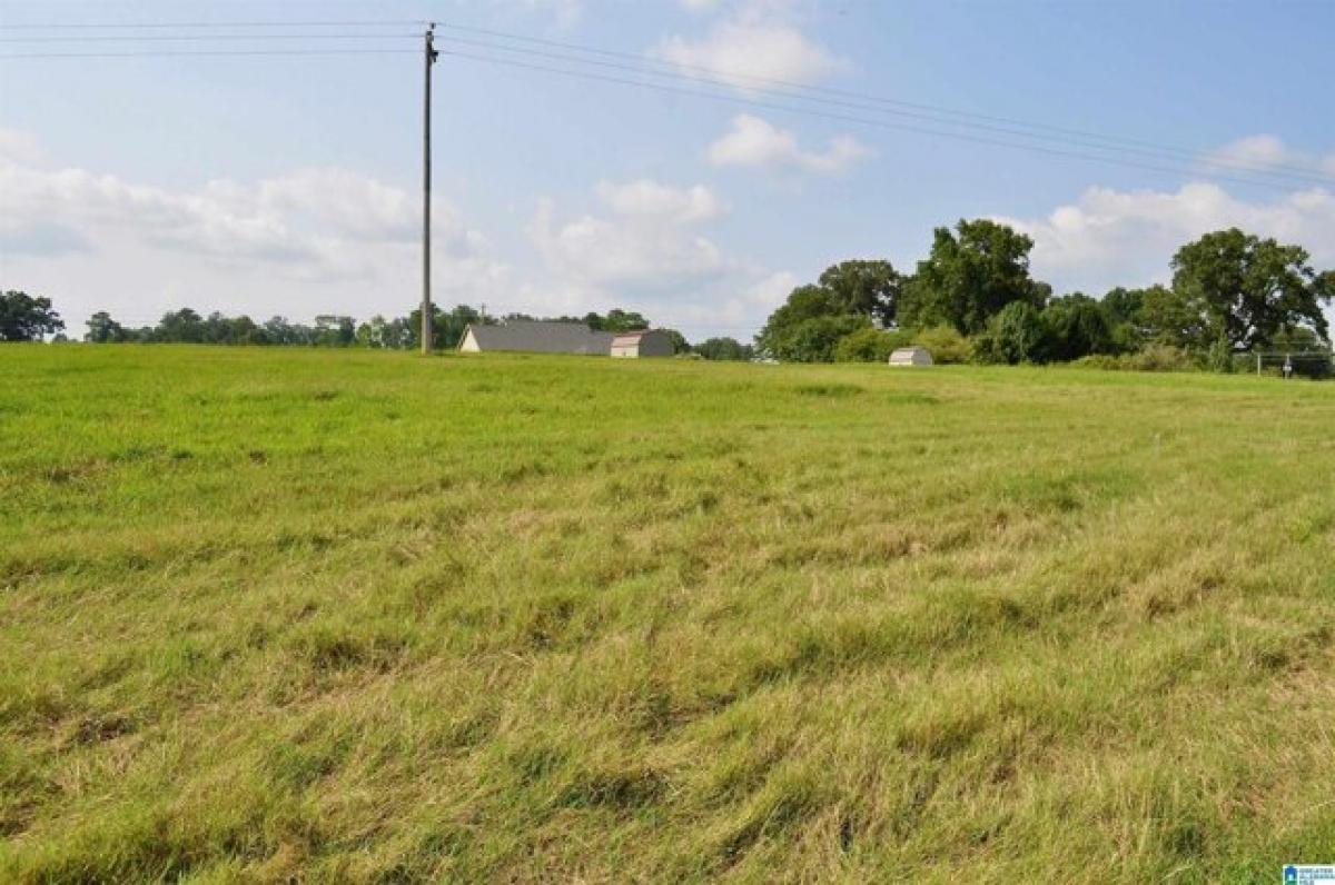 Picture of Residential Land For Sale in Cullman, Alabama, United States