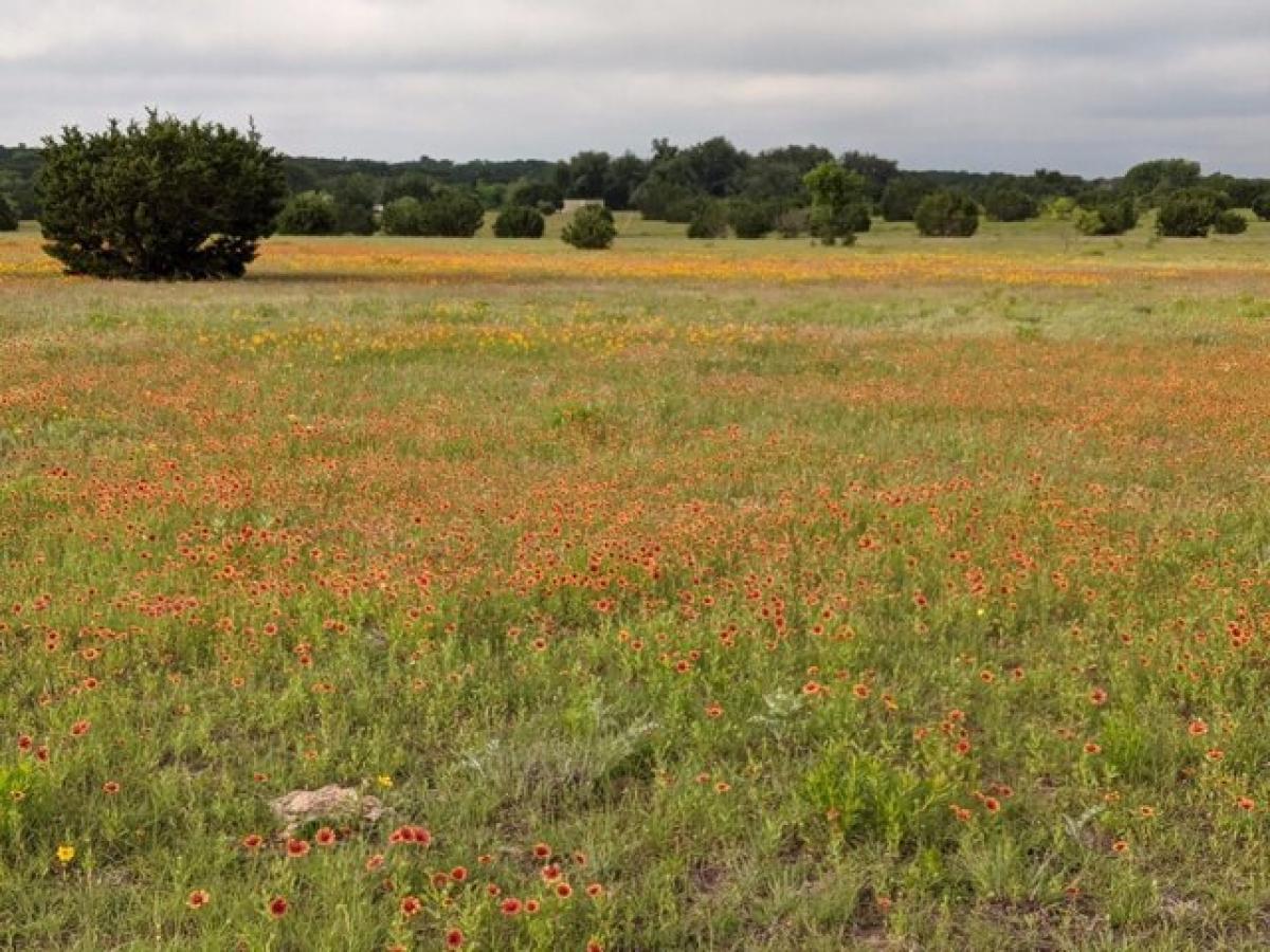 Picture of Residential Land For Sale in Hamilton, Texas, United States