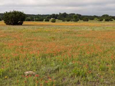 Residential Land For Sale in Hamilton, Texas