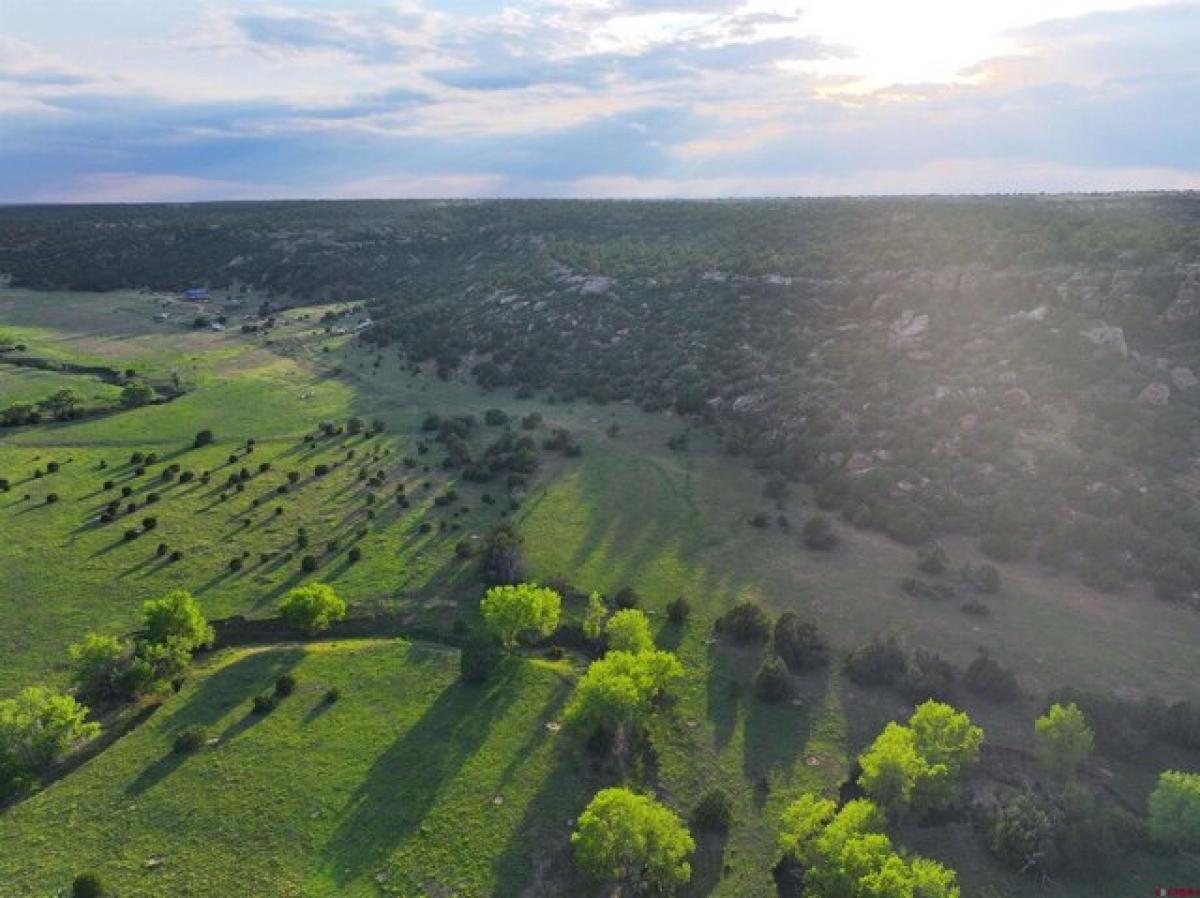 Picture of Residential Land For Sale in Las Vegas, New Mexico, United States