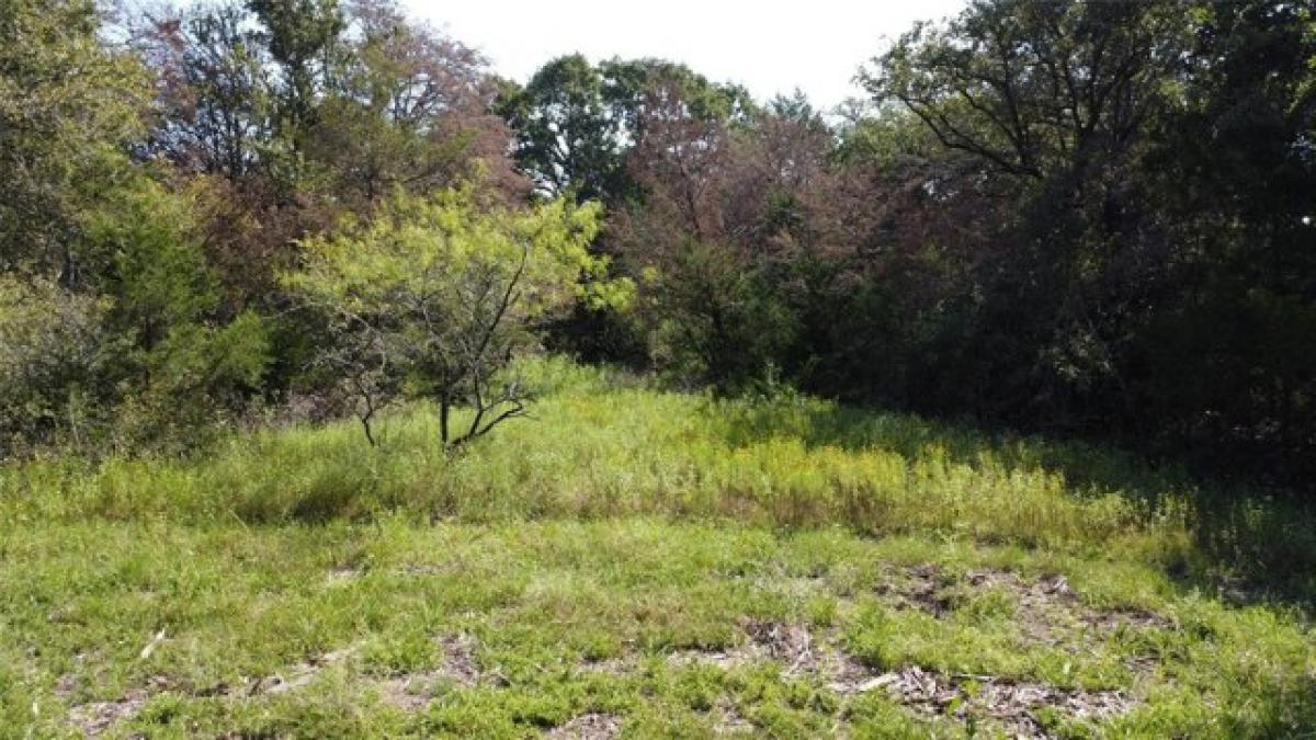 Picture of Residential Land For Sale in Groesbeck, Texas, United States