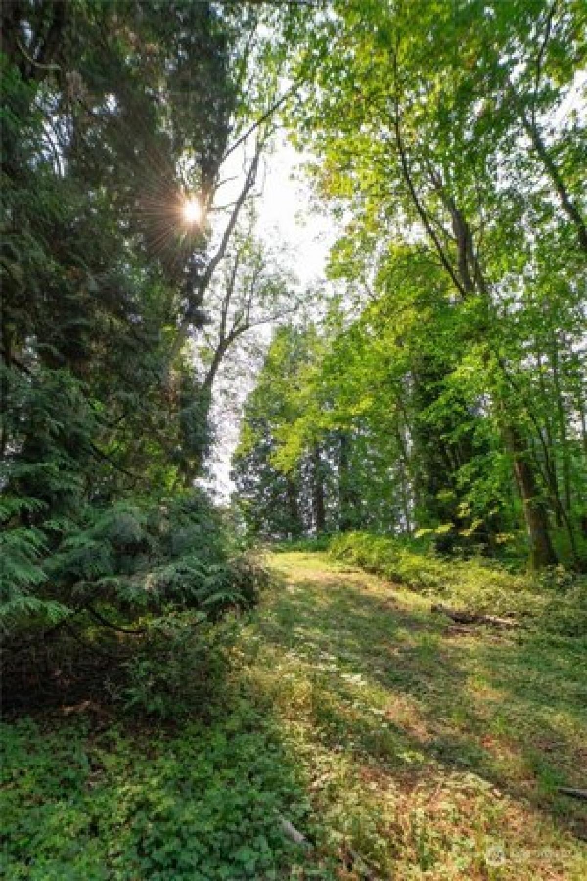 Picture of Residential Land For Sale in Blaine, Washington, United States