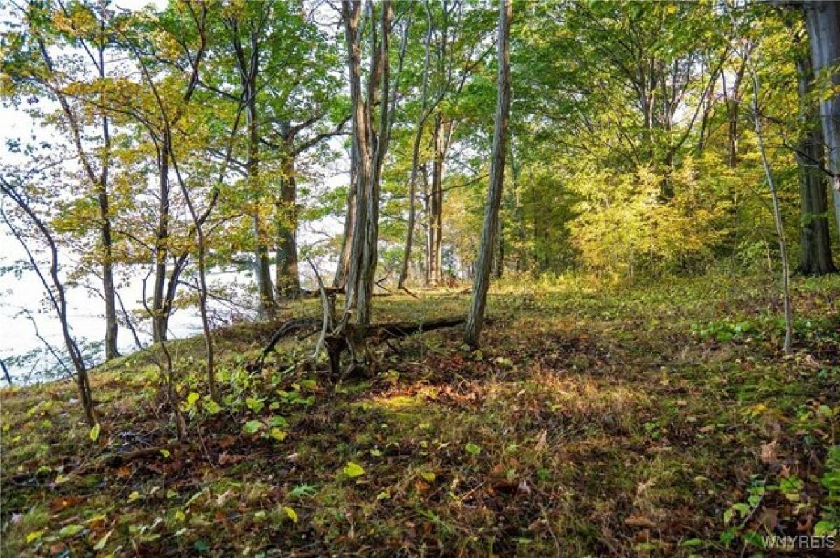 Picture of Residential Land For Sale in Silver Creek, New York, United States