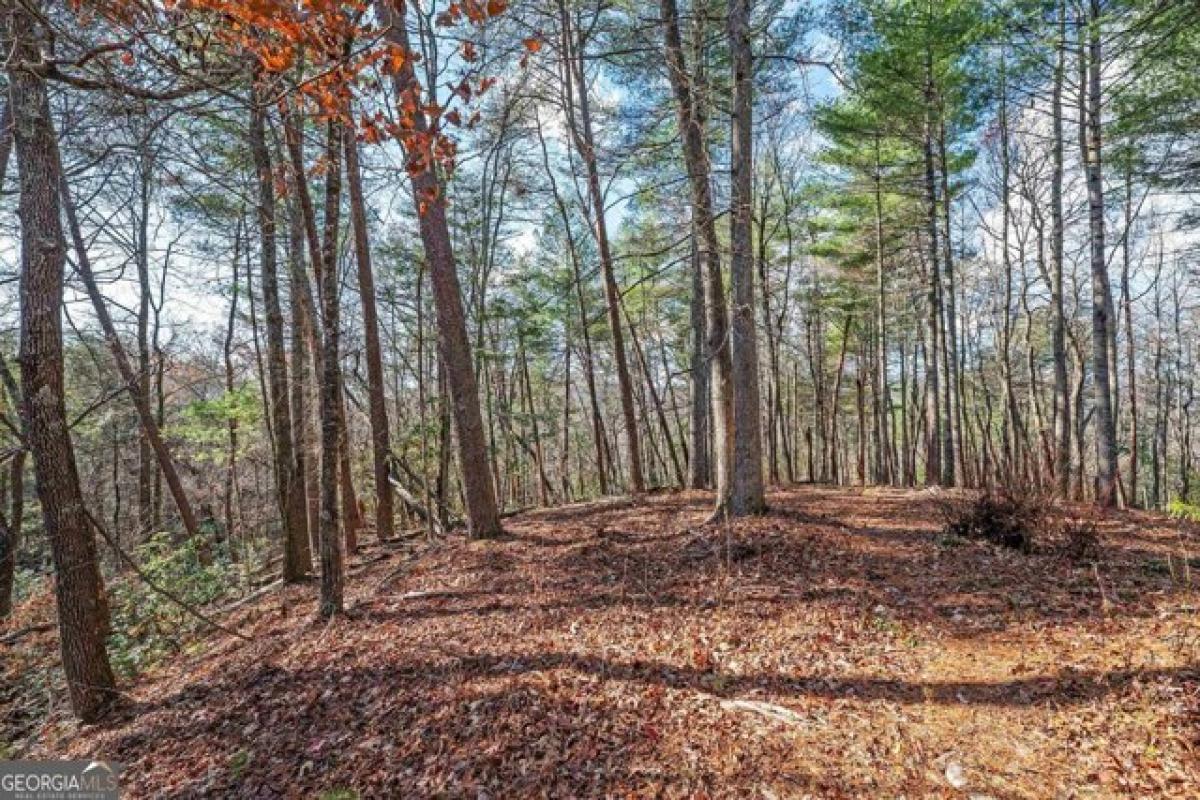 Picture of Residential Land For Sale in Helen, Georgia, United States