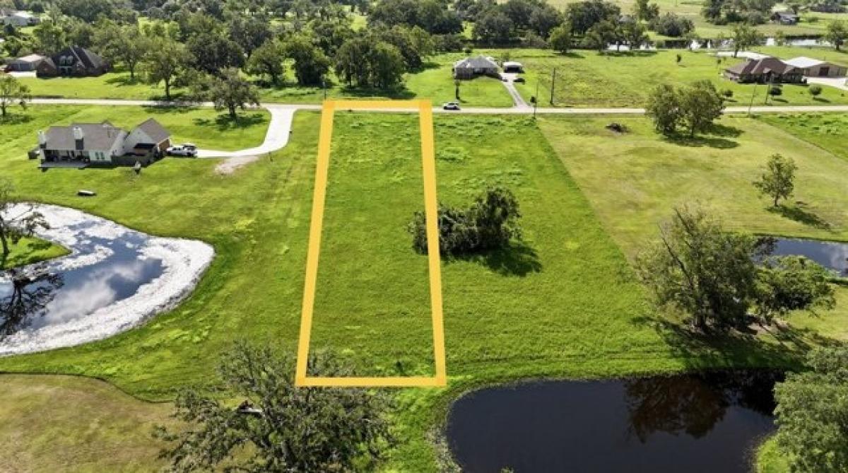 Picture of Residential Land For Sale in Angleton, Texas, United States