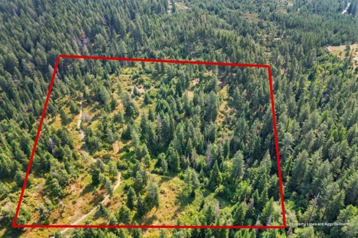 Picture of Residential Land For Sale in Spokane, Washington, United States