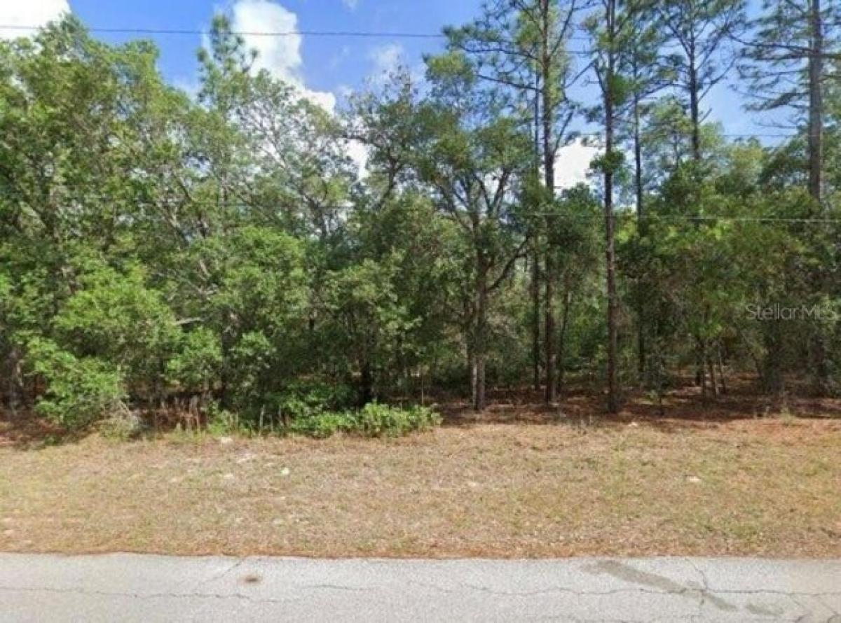 Picture of Residential Land For Sale in Lecanto, Florida, United States